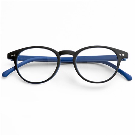Ready reader plastic grey/blue +1,0 46-20