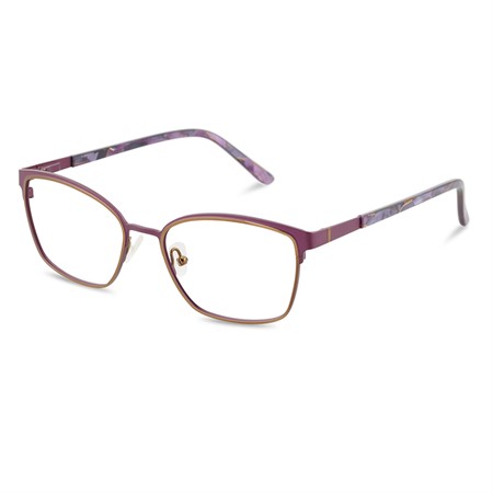 Kunoqvist SPINOSA 53-17