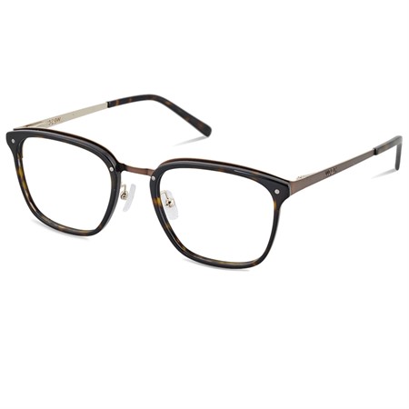 WeSC 317 52-21